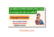 Udyogini Scheme 2024 Apply Online - Govt Loan for Women