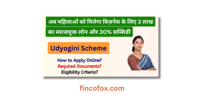 Udyogini Scheme 2024 Apply Online - Govt Loan for Women